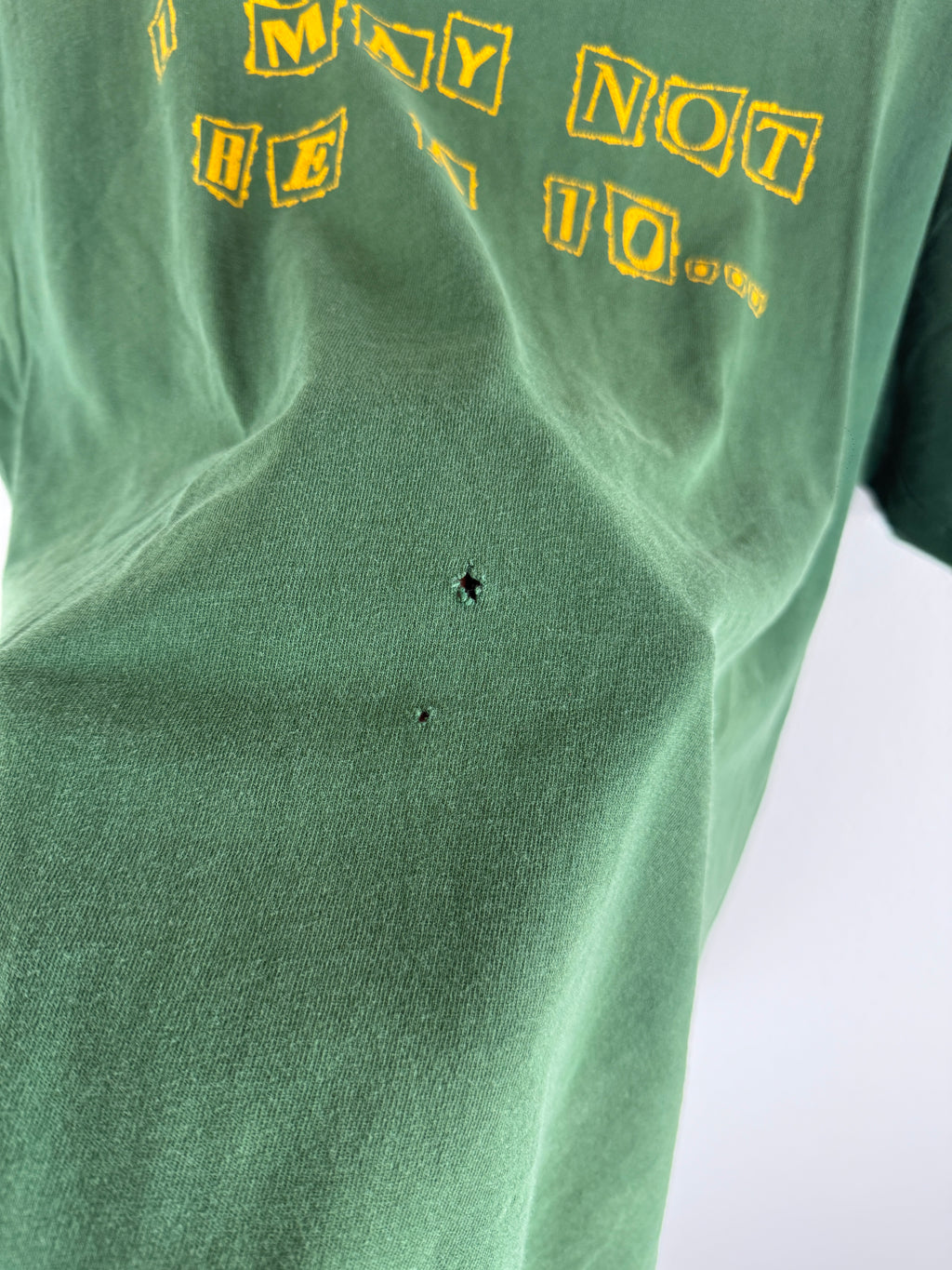 Vintage "I May Not Be A 10..." Temple City High School Tee