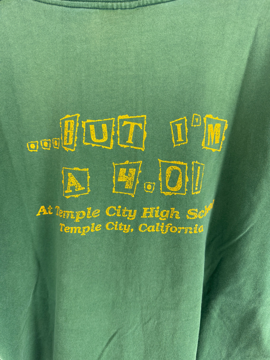 Vintage "I May Not Be A 10..." Temple City High School Tee